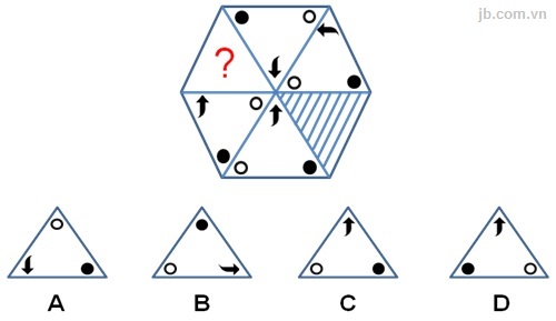 ChӢn hĝnh phģ h₫p điӓn vĖo dẂu ?
 